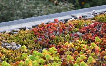 the cost of Cotton green roof installation