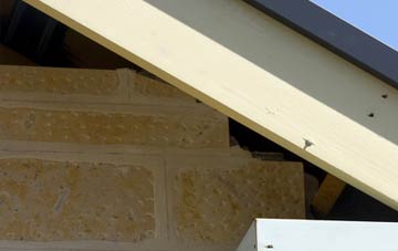 soffit repair Cotton